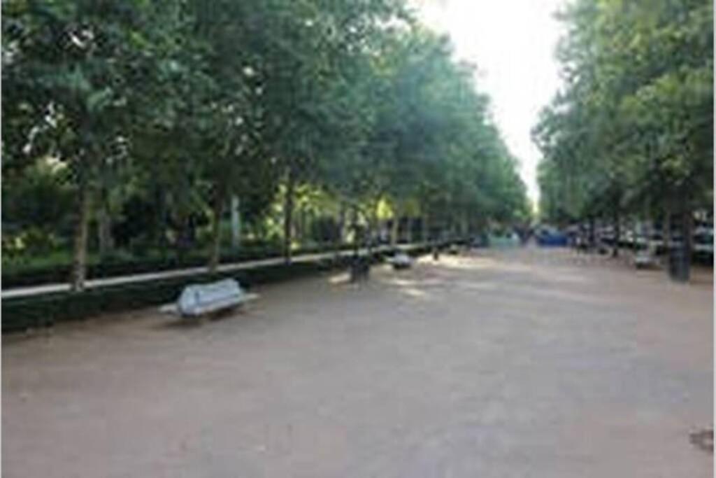 Bonito Apartamento Junto A Paseo De La Bomba Leilighet Granada Eksteriør bilde